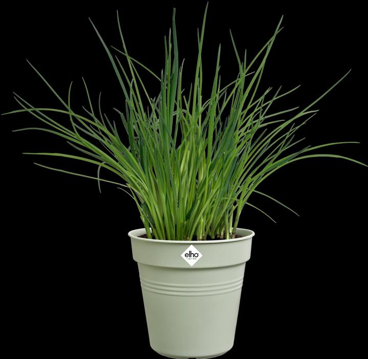 Image du produit Elho Green Basics
