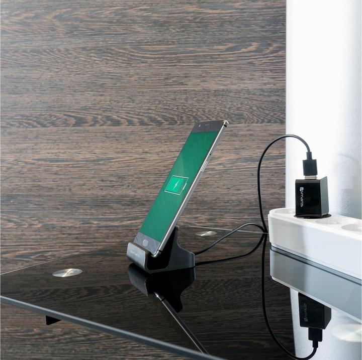 Actual product image 4smarts VoltDock (10 W)