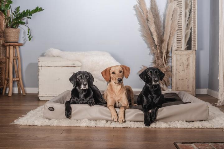 Image du produit Sabro Lit pour chien Kudde (Chien)