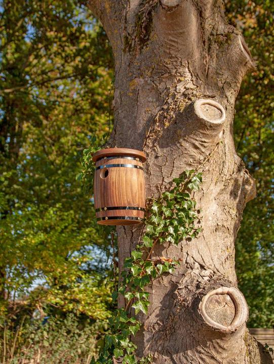 Produktbild Wildlife World Fass Vogelnest, Tierart: Vogel, Produkttyp: Vogelhaus