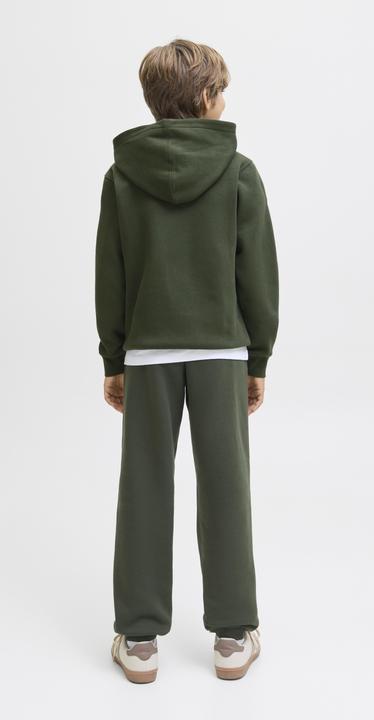 Actual product image Jack & Jones Jjestar Jj Sweat Hood Noos Jnr (128)