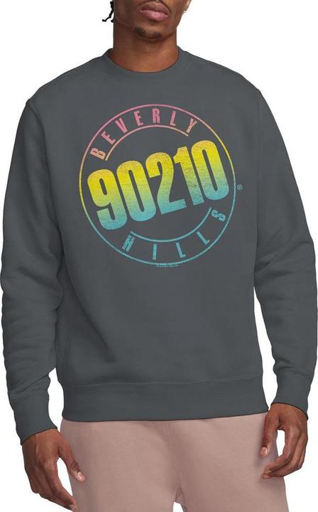 Immagine prodotto 90210 Felpa Logo Miscela di Colori Adulto Unisex (M)