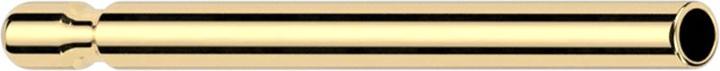 Actual product image Star Piercing Threadless ear stud gold plated (Titanium G23, without brass)