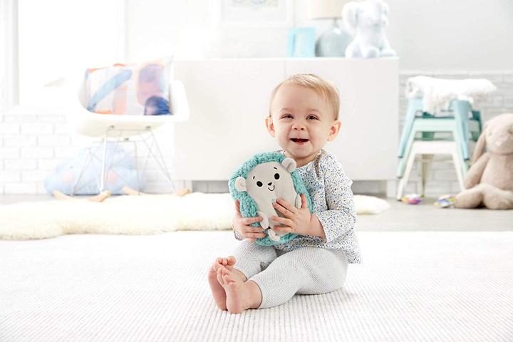 Actual product image Fisher-Price Calming Vibes Hedgehog Soother