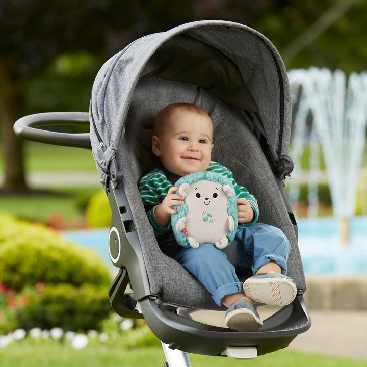 Actual product image Fisher-Price Calming Vibes Hedgehog Soother
