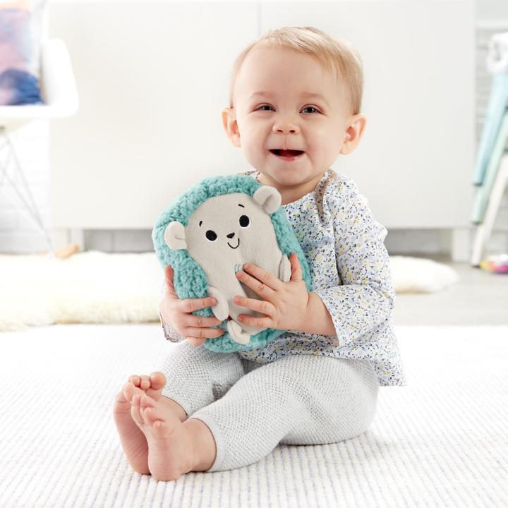 Actual product image Fisher-Price Calming Vibes Hedgehog Soother