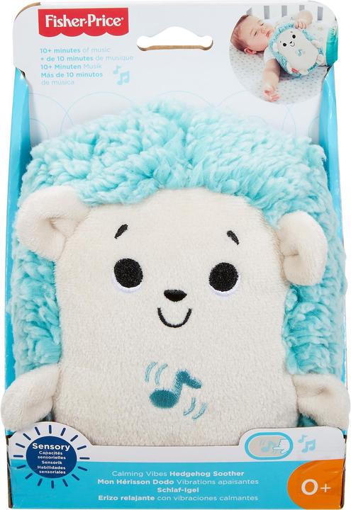 Actual product image Fisher-Price Calming Vibes Hedgehog Soother