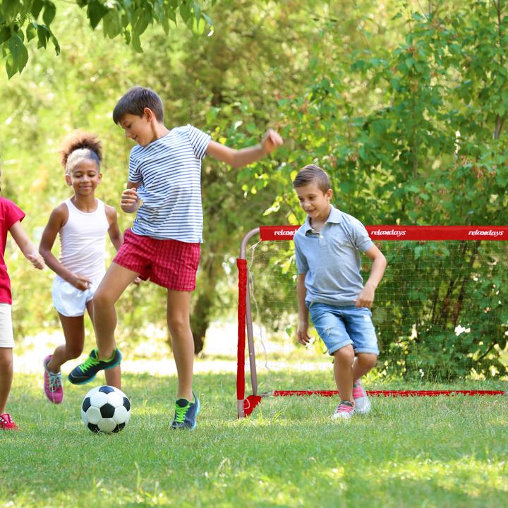 Actual product image Relaxdays 2x soccer goal