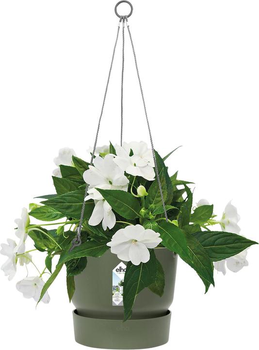Image du produit Elho Lampe suspendue de Greenville (24 cm)