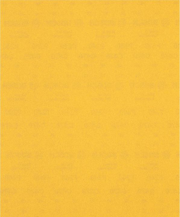 Actual product image Bosch Professional Zubehör Expert C470 Sandpaper for hand sanding, 230 x280 mm, G 240 (240)