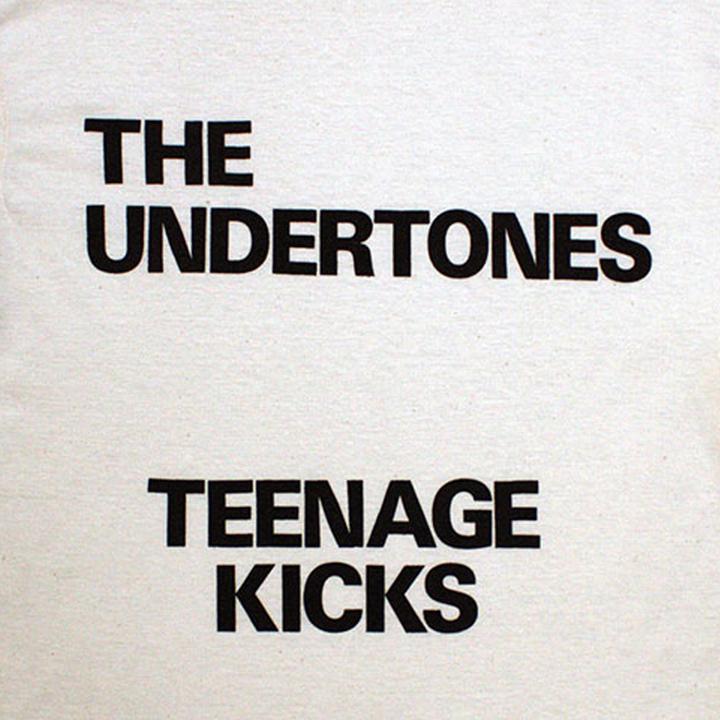 Immagine prodotto The Undertones Teenage Kicks Maglietta Testo Adulto Unisex (L)