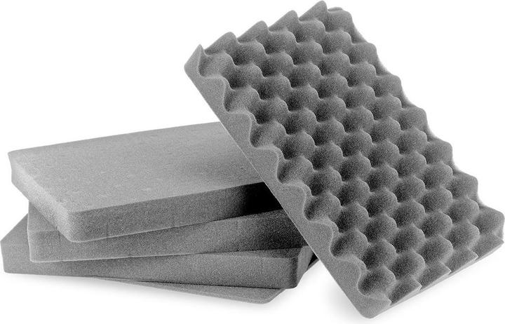 Actual product image B&W International Photo case B&W Cases B&W Kasetė su foam SI / 3000 (Photo trolley)