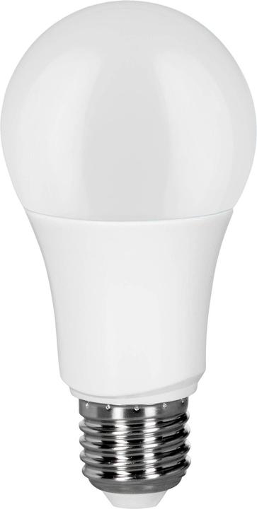 Müller Licht E27 LED W bulb shape (E27, 9.50 W, 806 lm, 1 x, F)