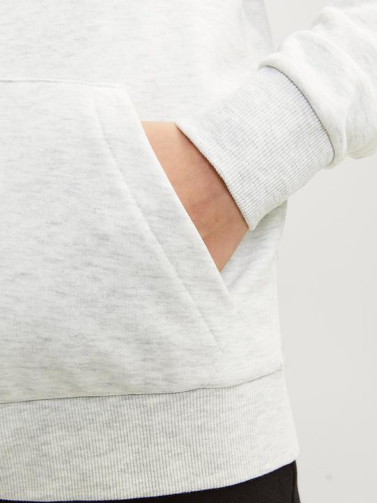 Immagine prodotto Jack & Jones Felpa stampata con cappuccio e zip Per ragazzi Felpa con cappuccio e zip (176)