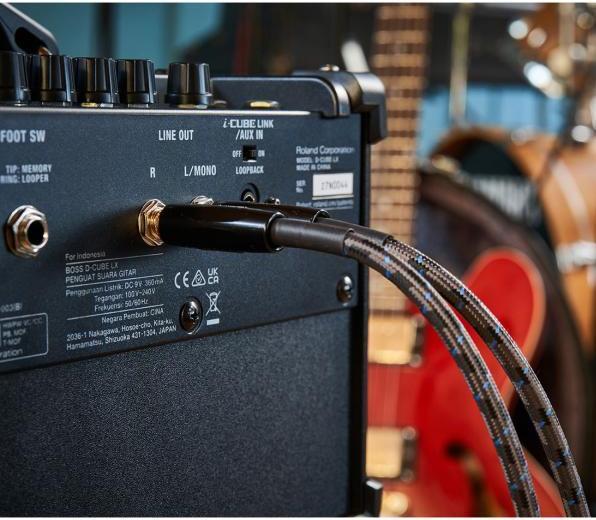 Immagine prodotto BOSS (Electronics) Amplificatore per chitarra D-CUBE LX (Chitarra, 10 W)