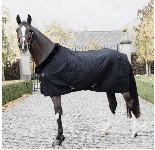 Actual product image Kentucky Horsewear Stable blanket 0g (130 cm)
