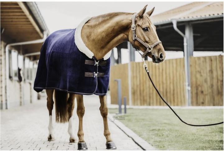 Actual product image Kentucky Horsewear Sweat rug Fleece Show (155 cm)