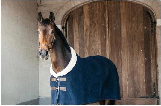 Actual product image Kentucky Horsewear Sweat rug Fleece Show (155 cm)