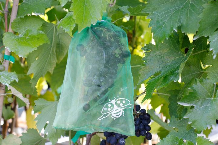 Image du produit Andermatt Biogarten Sacs de protection du raisin