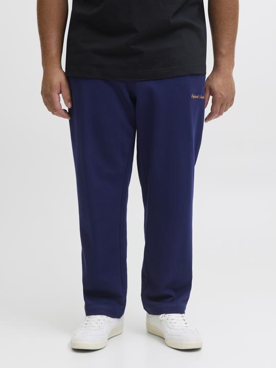 Produktbild Jack & Jones Plus Size Relaxed Fit Relaxed Fit Hosen Relaxed Fit Hosen (42)