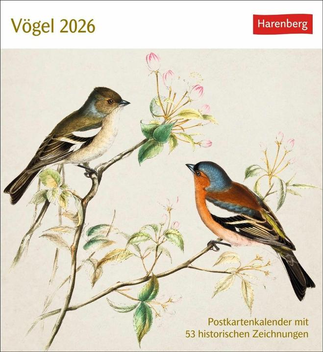 Actual product image Harenberg Vögel Postkartenkalender 2026 - Postkartenkalender mit 53 historischen Zeichnungen (Hardcover, German)