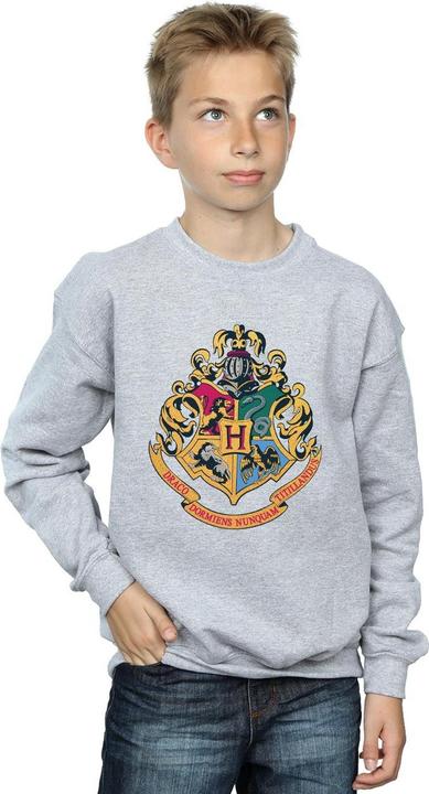 Immagine prodotto Hogwarts Crest Gold Ink Felpa Ragazzi (140, 146)
