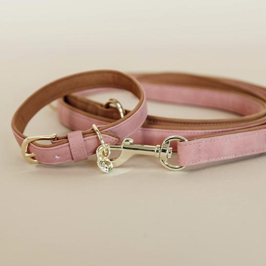 Produktbild Kentucky Dogwear Hunde Halsband Soft Vegan Leather (XS, Hund, Allgemein)