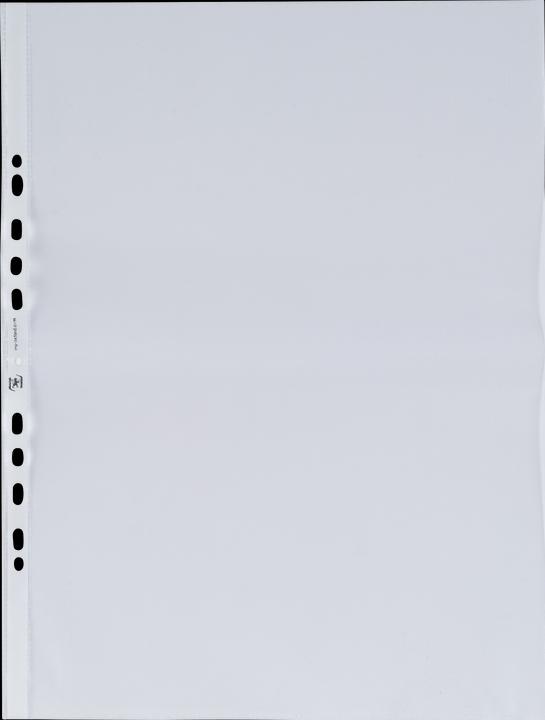 Image du produit Elba Pochette, DIN A3 vertical, PP, 0,09 mm, grainée, ouverture en haut, perforation européenne (A3, 1 x)