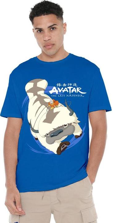 Produktbild Avatar: The Last Airbender In Flight TShirt (4XL)