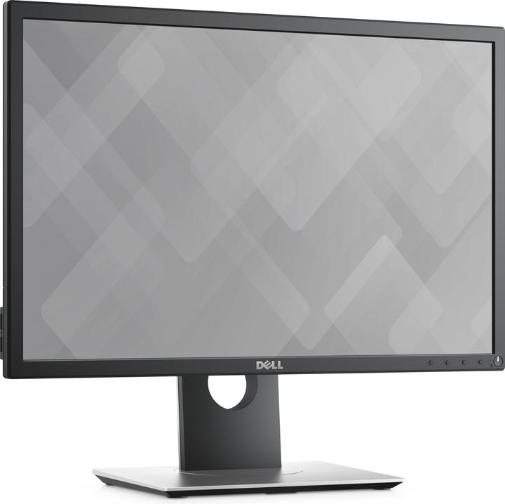 Actual product image Dell P2217 (1680 x 1050 pixels, 22")