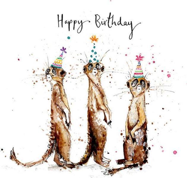 Produktbild Louise Mulgrew Glückwunschkarte Happy Birthday - Erdmännchen - von (1 Stk.)