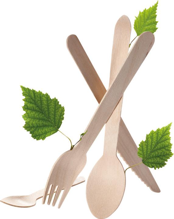 Actual product image Duni Fork (100 x)