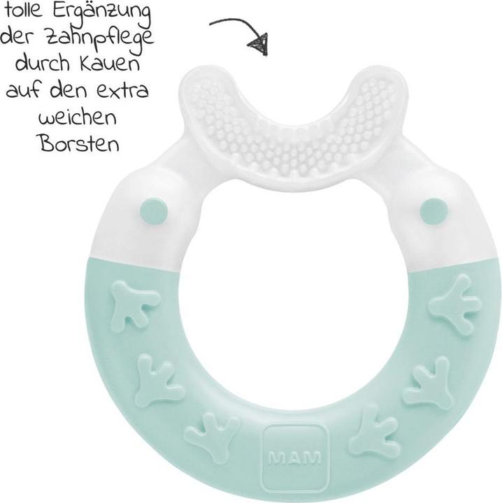 Actual product image MAM Bite ring Bite & Brush 3+ months, 1 pc, turquoise