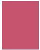 Valeurs nutritives et ingrédients L'Oréal Paris Color Riche (302 Bois de rose)