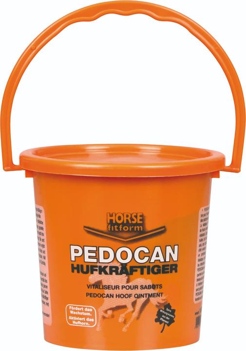 Horka Hufverstärker