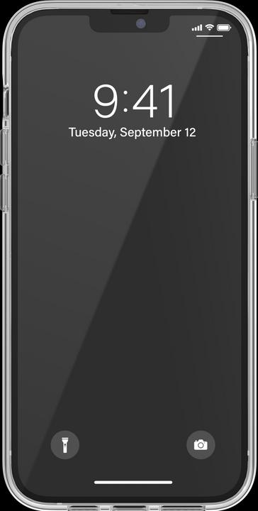 Actual product image adidas Snap Case ENTRY (Apple iPhone 13 Pro Max)