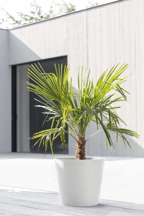 Produktbild Ecopots Amsterdam (26.30 cm)