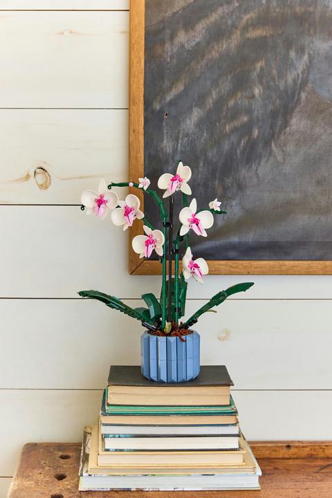 Productafbeelding LEGO Orchidee (10311, LEGO Botanisch)
