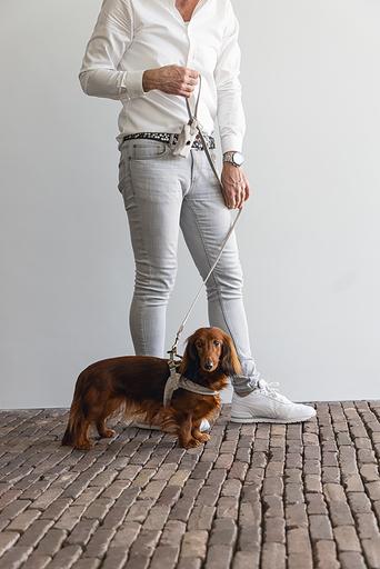 Produktbild Designed by Lotte Velura (XXS, XS, S, M, L, Hund, Allgemein)