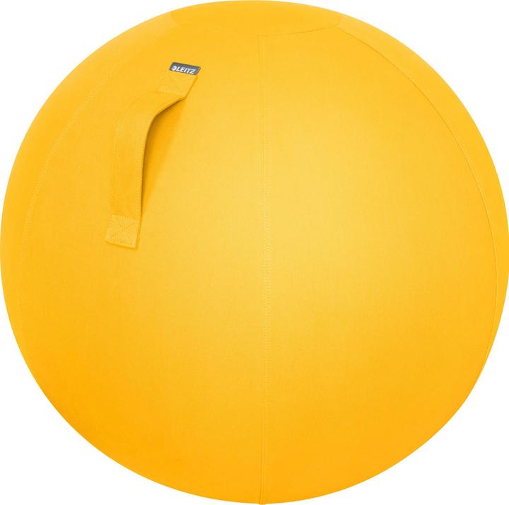 Leitz Ergo Cosy Active sitting ball (65 cm)