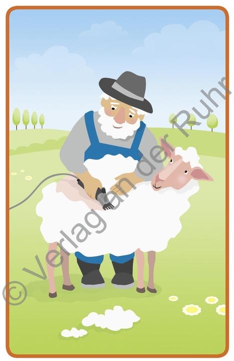 Produktbild Bildergeschichten – Tiere (Deutsch, 2020)
