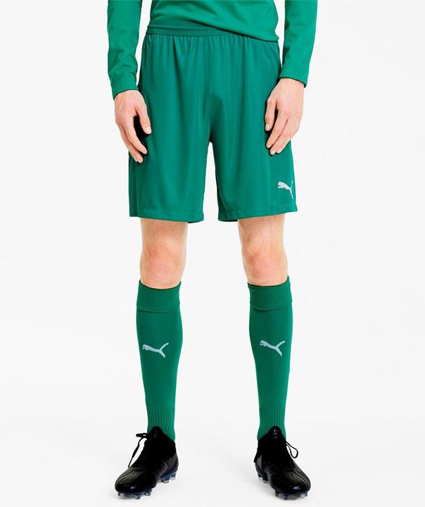 Actual product image Puma teamFINAL 21 knit shorts-704257 (S)