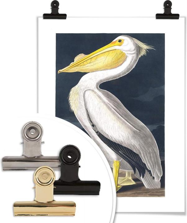 Produktbild Trenddeko Pelikan (60 x 80 cm)