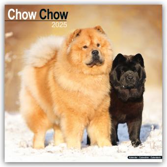 Actual product image Avonside Publishing Ltd:Chow Chow 2025 (30.5 x 30.5 cm, Hardcover, German)