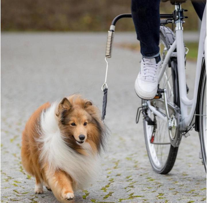 Produktbild Trixie Biker-Set (Hund, Reflektoren)