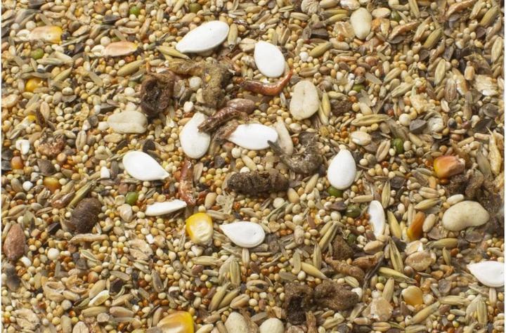 Produktbild JR Farm Farm Zwerghamster-Schmaus (0.60 kg, 1 x)