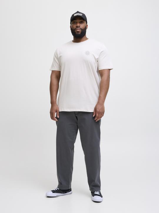 Actual product image Jack & Jones Jpstkane Fctry Fabric2 L2 Chino Pant Pls (W46/L32)