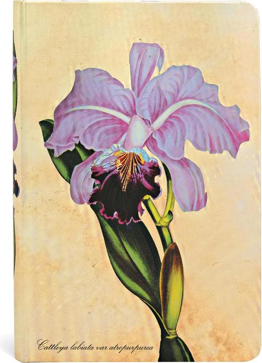 Produktbild Paperblanks Notizbuch Brasilianische Orchidee (95 x 140 mm, Liniert, Harter Einband)