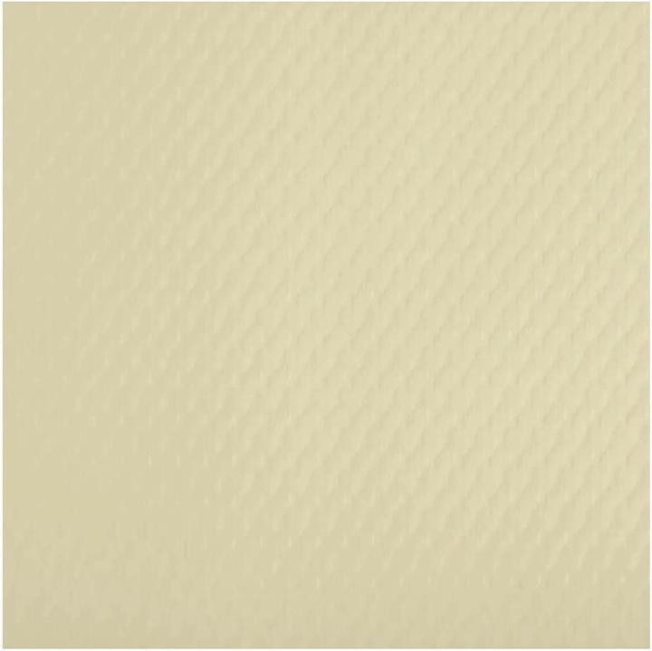 PROnappe Remaining stock: disposable placemat, 400 x 300 mm, ivory (500 pcs., 30 x 40 cm)