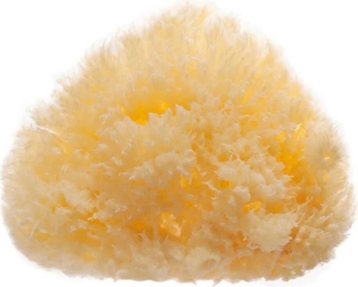 Actual product image Caso Eurostil Natural Sponge 1 Unit